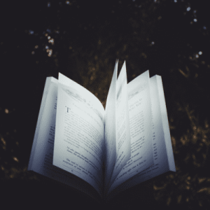 Novel